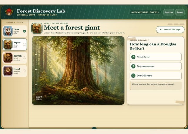 Forest Discovery Lab showing four character learning stations and an interactive nature question