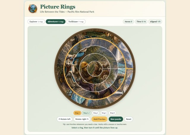 Picture Rings puzzle interface